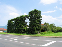 070927tujimatu